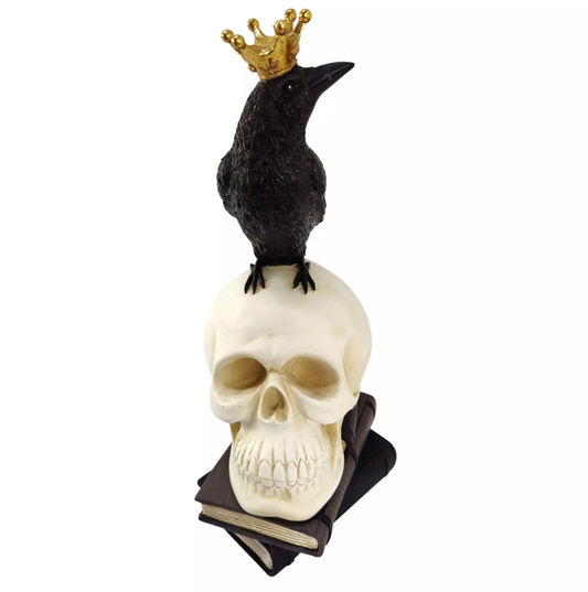 Crow Standing On A Skull