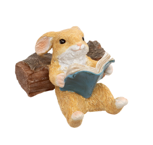 Book Bunny