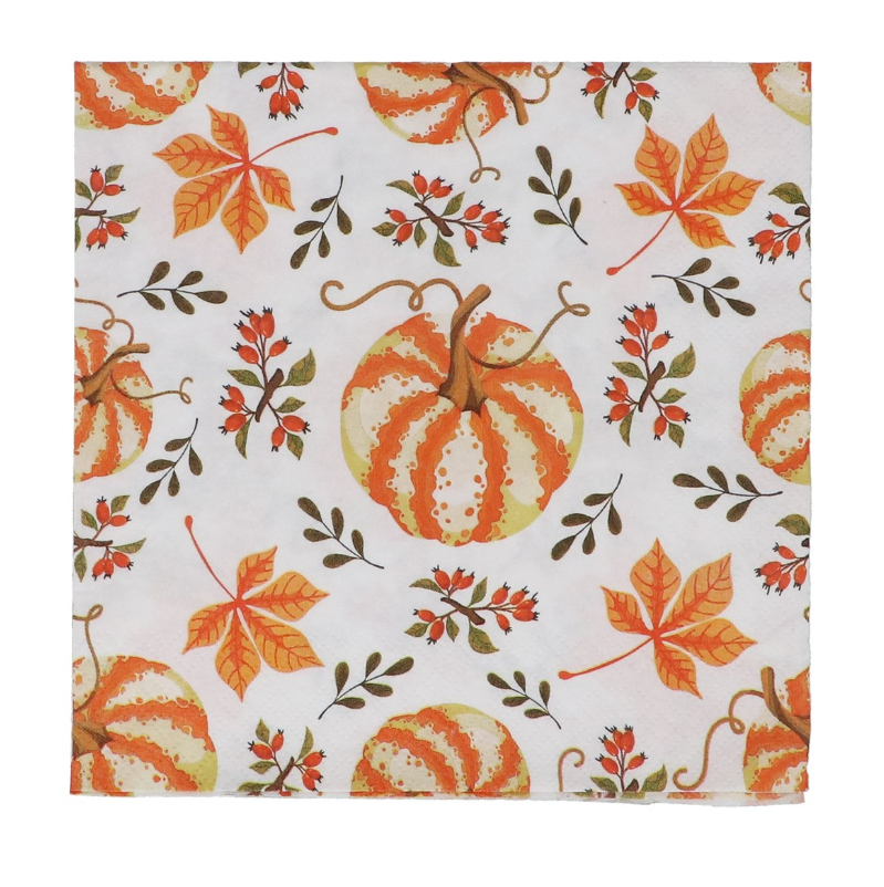 Pack of 20 Paper Napkins 16cm - Pumpkin/Berry