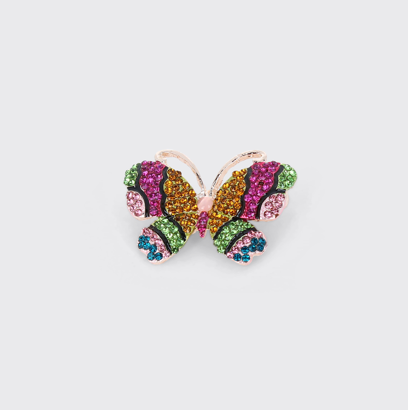 Butterfly Brooch - Multi