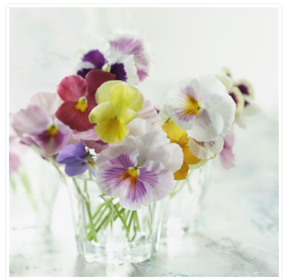 Floral Blank Greeting Card
