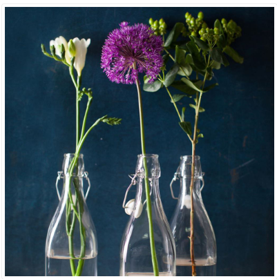 Flower Stem Blank Card