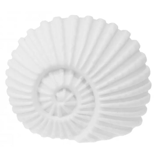 Porcelain Ammonite Led Light - 14cm