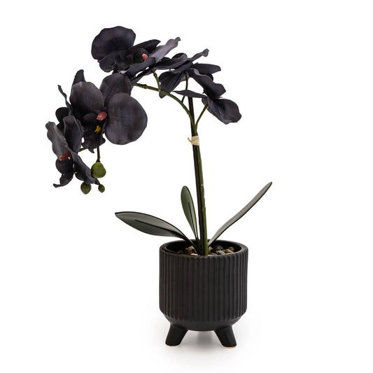 42cm artificial orchid – Matte Black