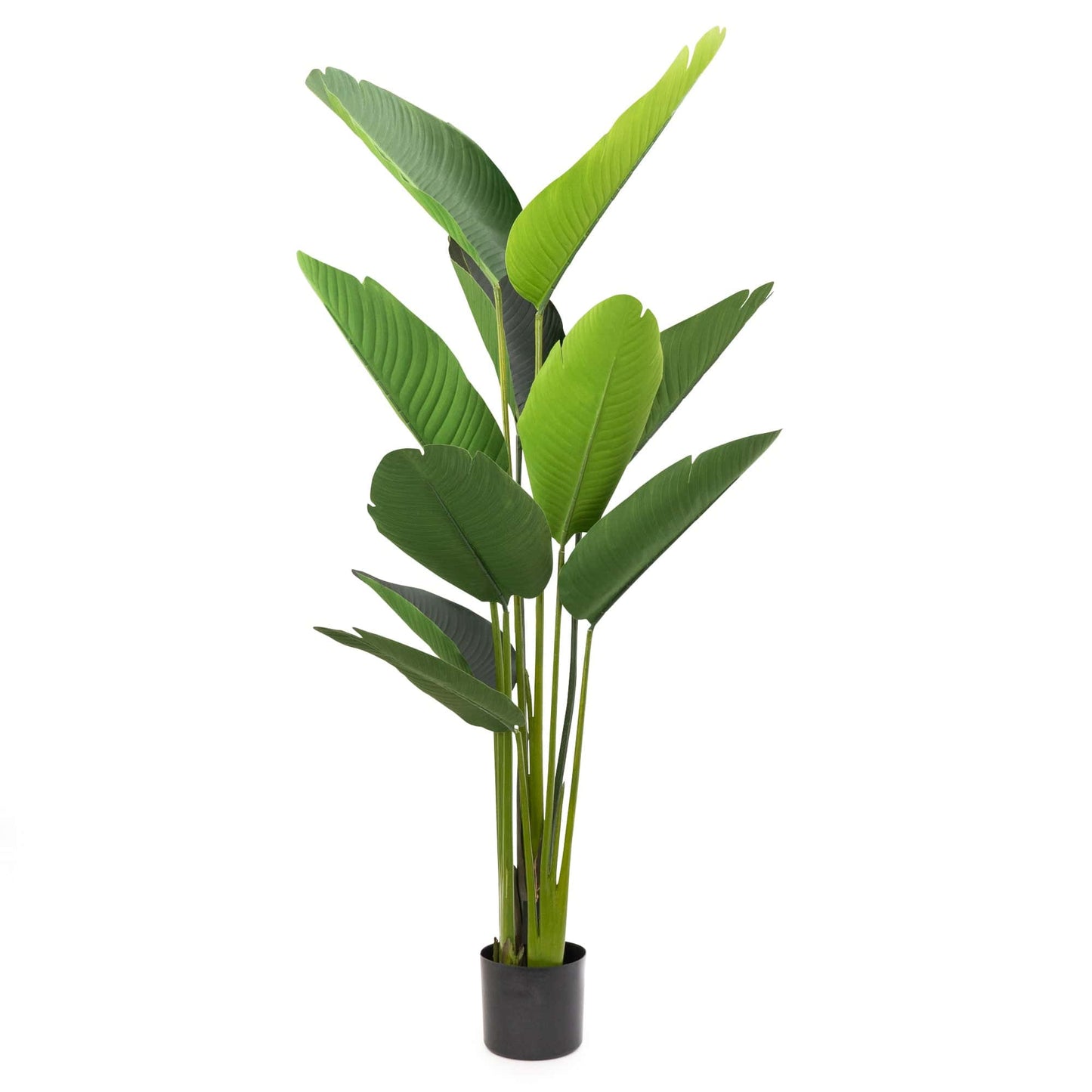 150CM Artificial Streliztia Plant
