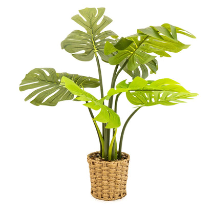 Artificial Cheese Plant in Wicker Pot 74cm