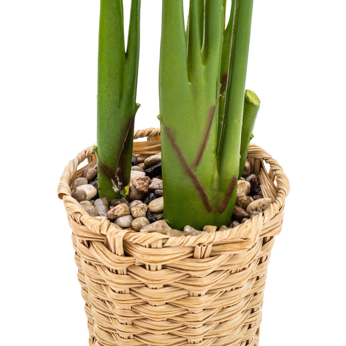 Artificial Strelitzia Plant in Wicker Pot 80cm
