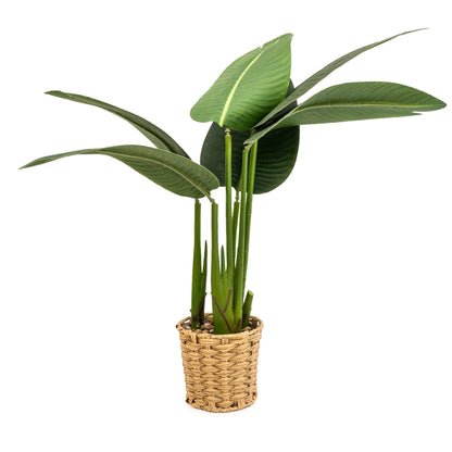 Artificial Strelitzia Plant in Wicker Pot 80cm