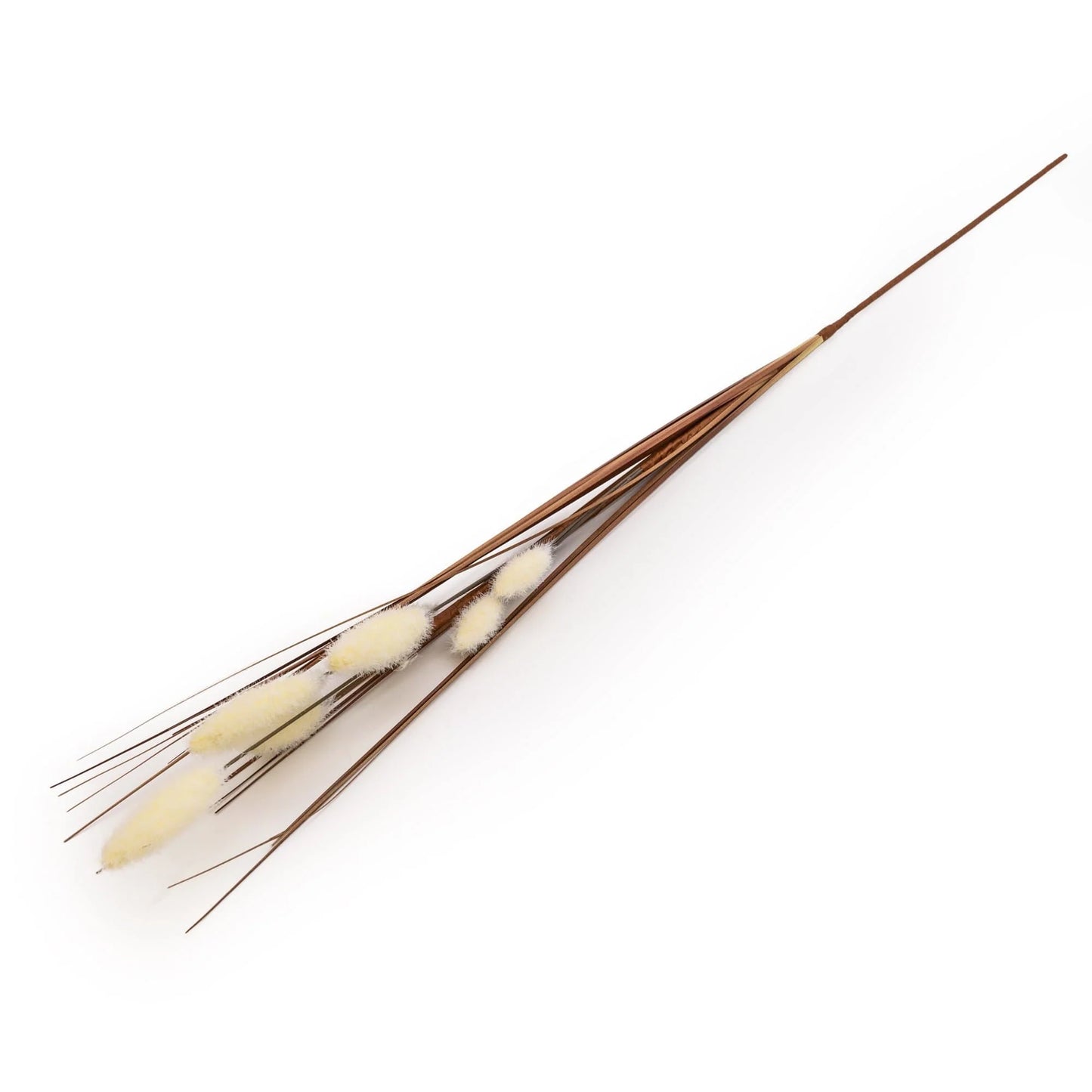 Cream Foxtail 73cm