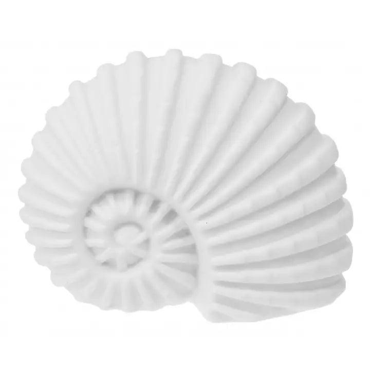 Porcelain Ammonite Led Light - 11cm